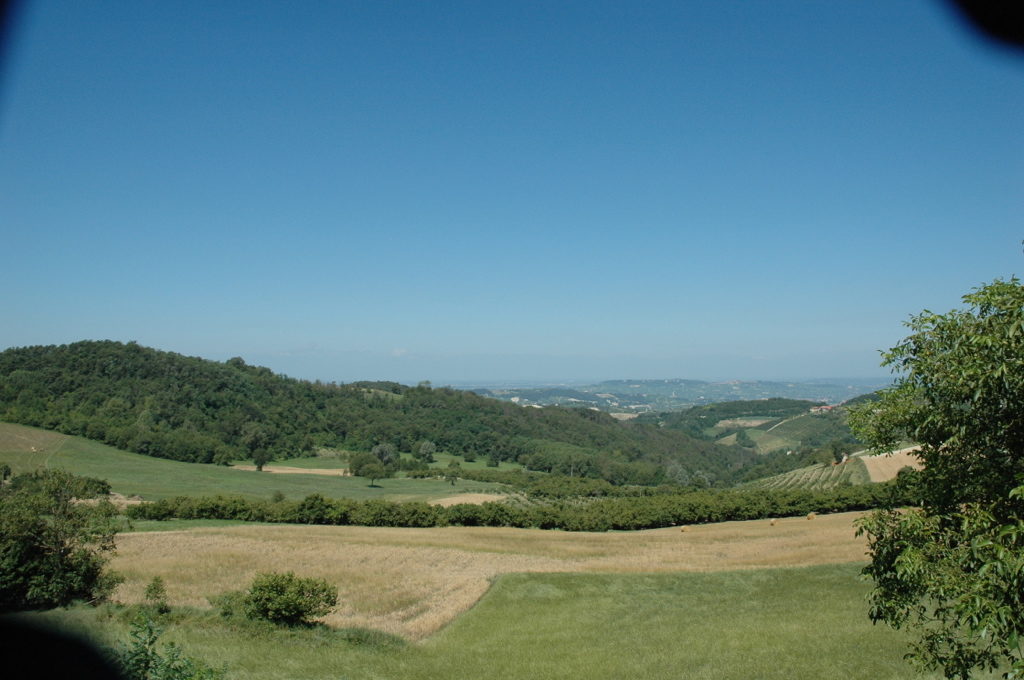 View in the summer - B&B La Luce delle Colline Langhe Italy