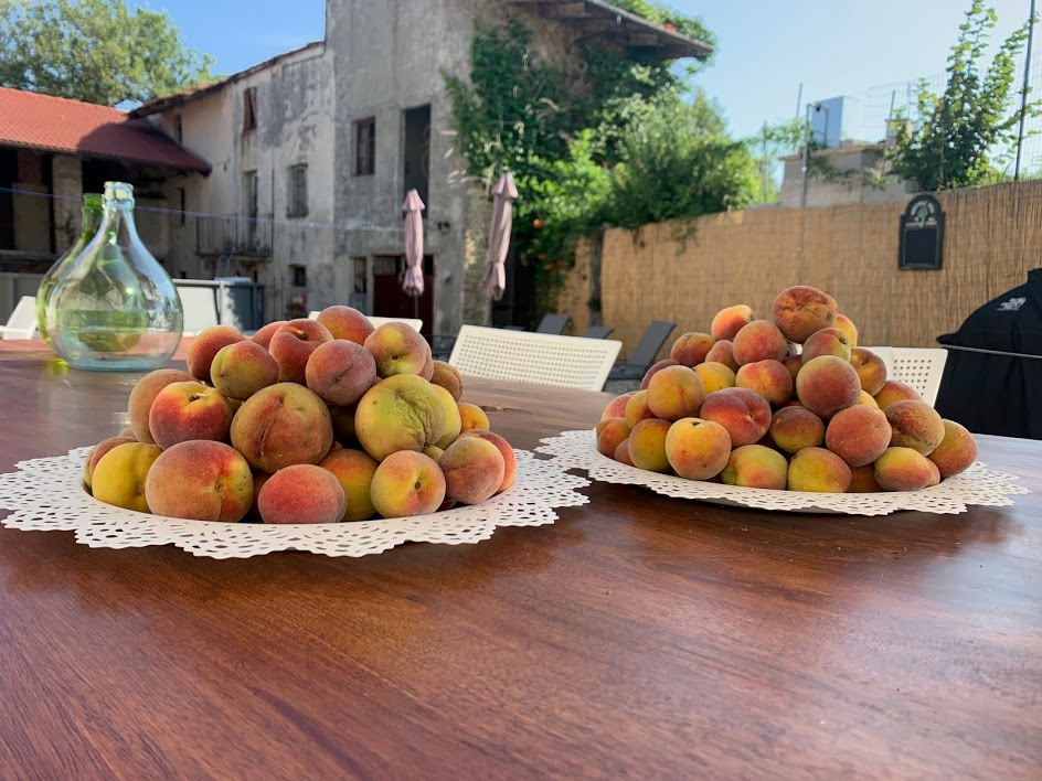 Fresh peaches - B&B La Luce delle Colline Langhe Italy